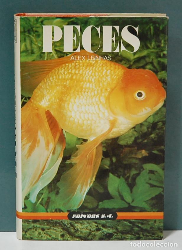 Libros de segunda mano: Peces. Alex Leinhas - Foto 1