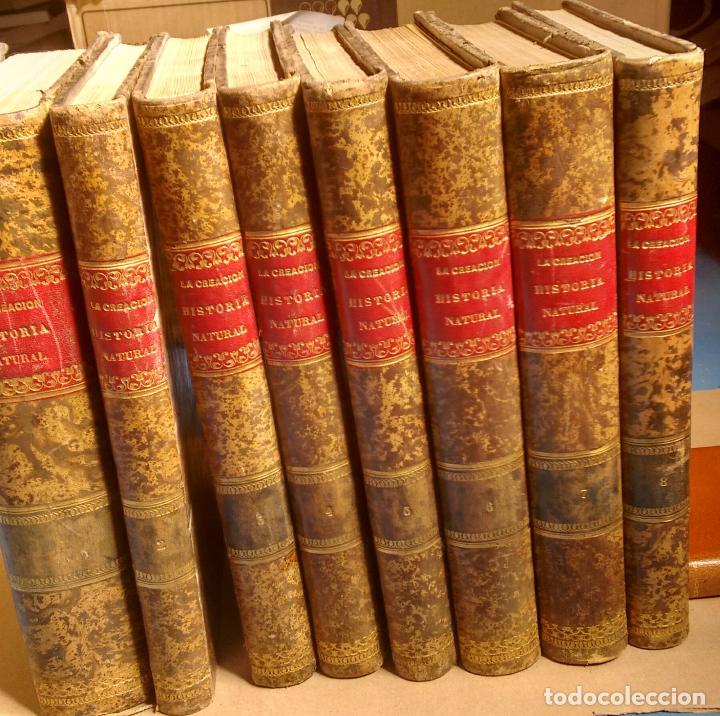 Libros de segunda mano: La creaci&oacute;n historia natural Montaner y Sim&oacute;n 1872-75 obra completa en 8 tomos primera edici&oacute;n