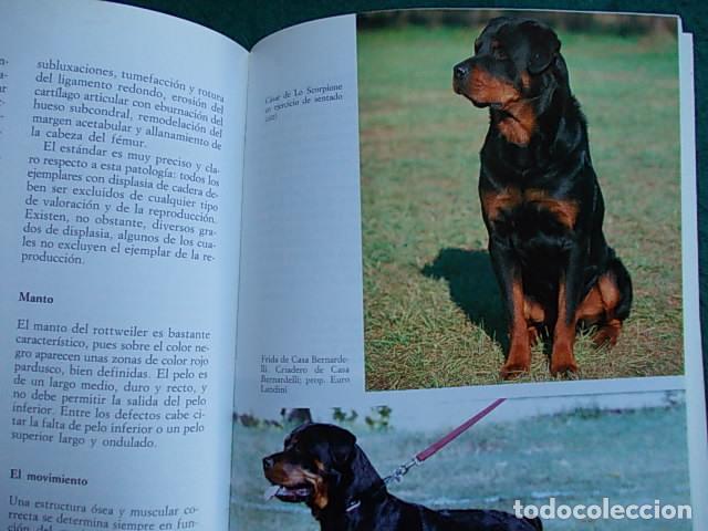 Libros de segunda mano: El Rottweiler - Foto 2