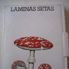 Libros de segunda mano: LAMINAS SETAS. LABORATORIO EMYFAR. JUAN A. SEOANE CAMBA. 50 LAMINAS EN COLOR 23 X 17. 1976. Lote 99716455