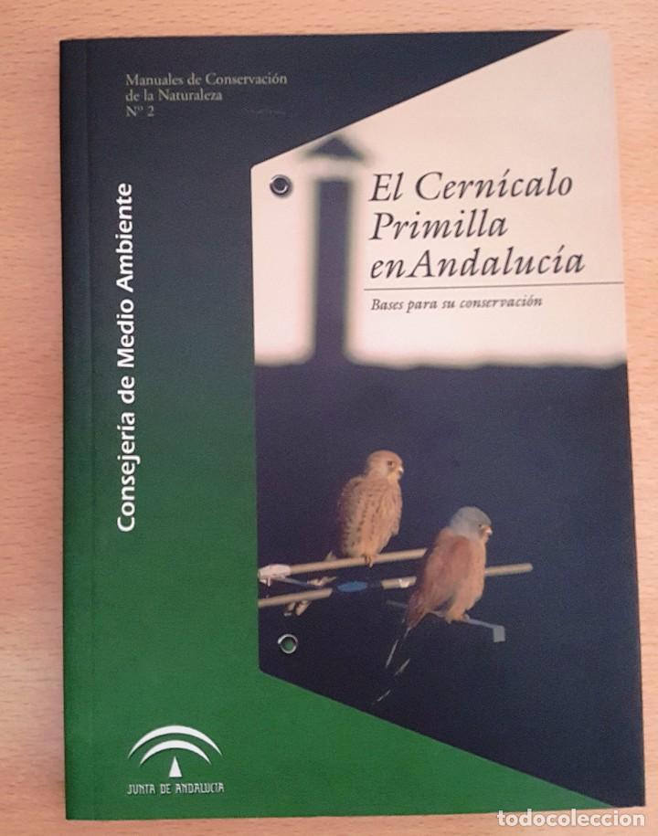 Libros de segunda mano: EL CERN&Iacute;CALO PRIMILLA EN ANDALUC&Iacute;A. BASES PARA SU CONSERVACI&Oacute;N. - Foto 1