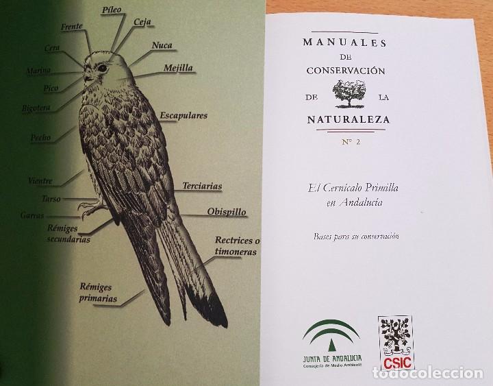 Libros de segunda mano: EL CERN&Iacute;CALO PRIMILLA EN ANDALUC&Iacute;A. BASES PARA SU CONSERVACI&Oacute;N. - Foto 2