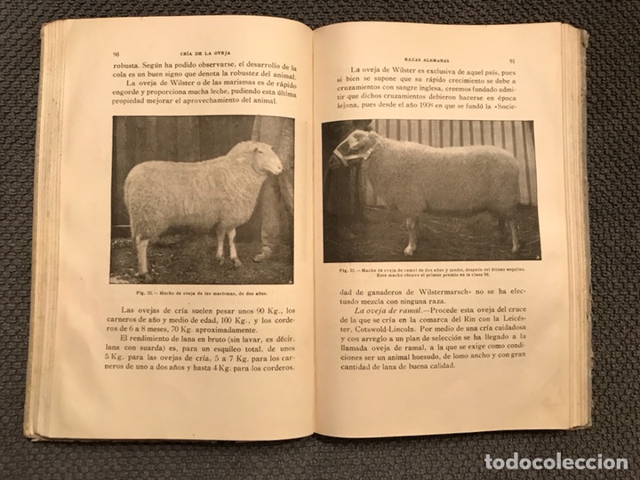 Libros de segunda mano: EL CARNERO, por J. Heyne (a.1925) - Foto 3