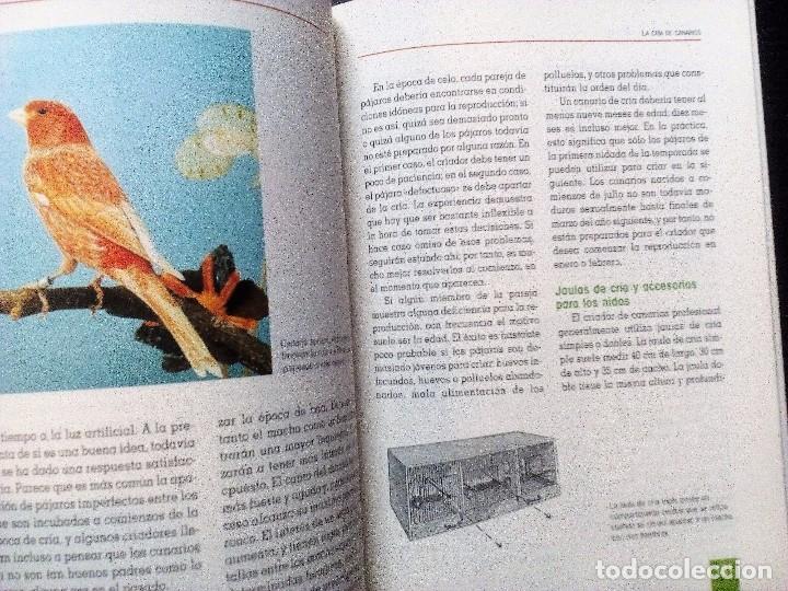 Libros de segunda mano: EL GRAN LIBRO DE LOS CANARIOS  MATTHEW M. VRIENDS   TIKAL - Foto 9