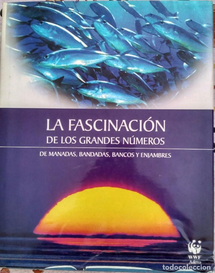 Libros de segunda mano: Georama del descubrimiento - Foto 1