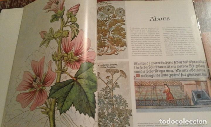 Libros de segunda mano: Herbes per a tot - Violet Stevenson - 1981 - Foto 3