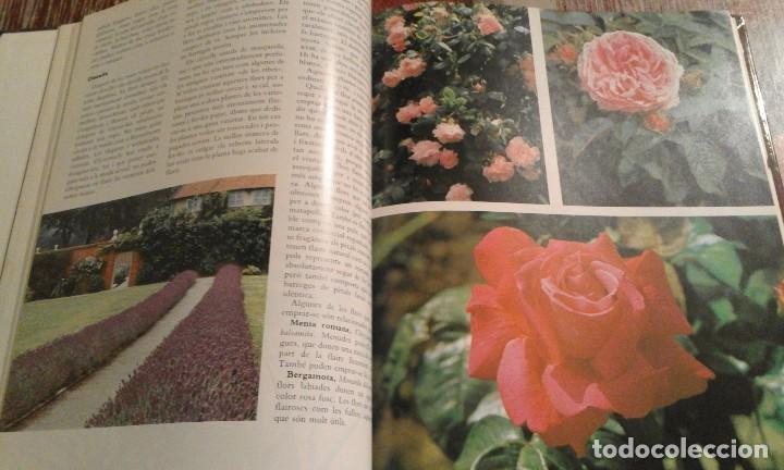 Libros de segunda mano: Herbes per a tot - Violet Stevenson - 1981 - Foto 4