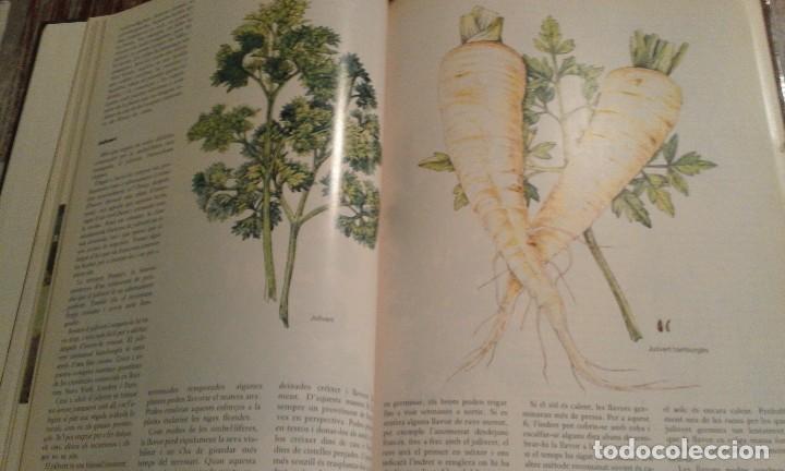 Libros de segunda mano: Herbes per a tot - Violet Stevenson - 1981 - Foto 5