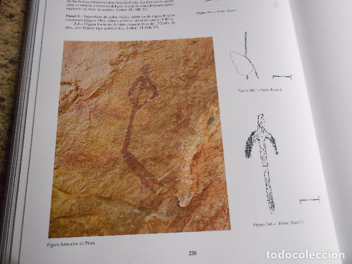 Libros de segunda mano: ARTE RUPESTRE EN ALICANTE - Foto 20
