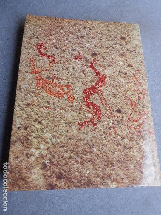 Libros de segunda mano: ARTE RUPESTRE EN ALICANTE - Foto 21