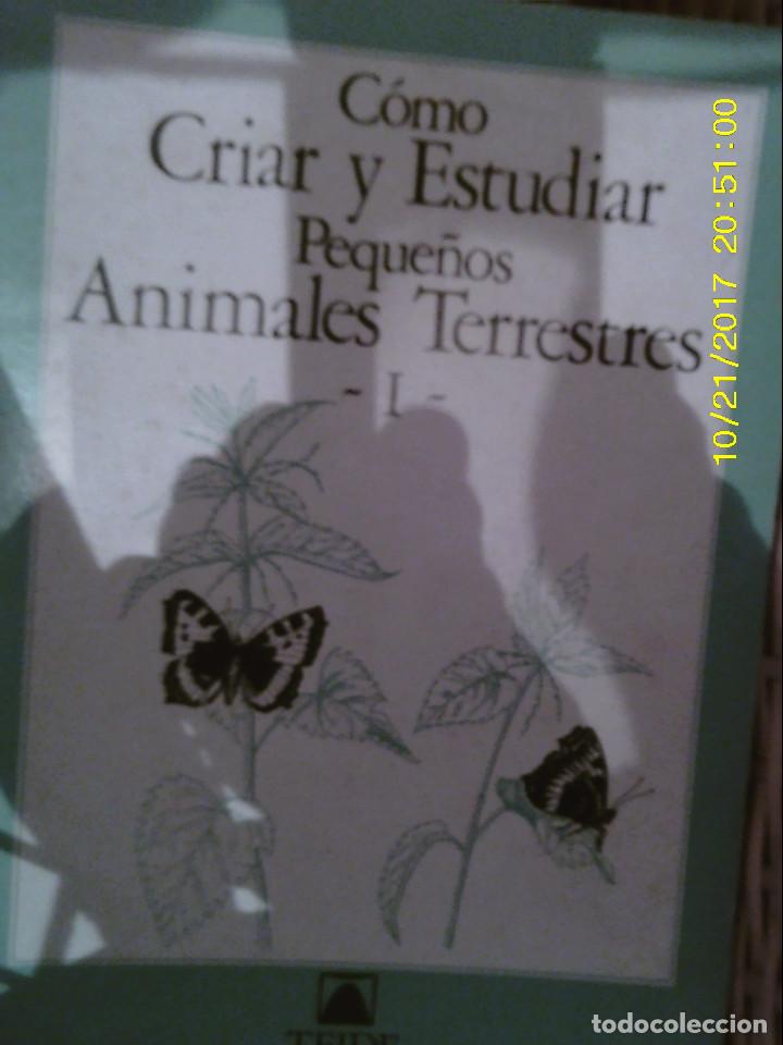 Libros de segunda mano: LIBRO N&ordm; 1002 COMO CRIAR Y ESTUDIAR PEQUE&Ntilde;OS ANIMALES TERRESTRES - Foto 1
