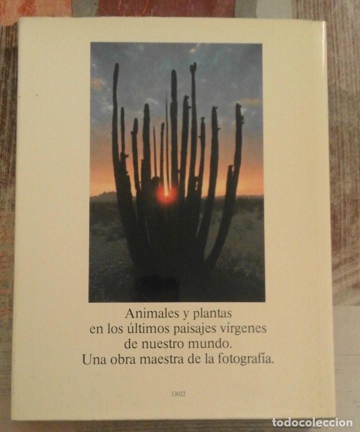 Libros de segunda mano: Para&iacute;sos - Willi & Ursula Dolder - Foto 2