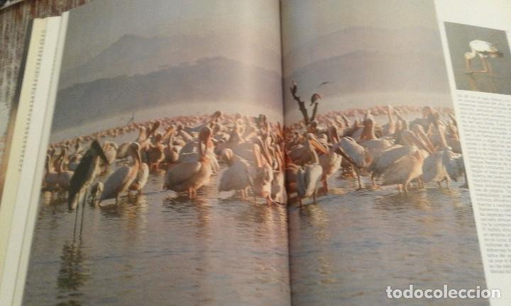 Libros de segunda mano: Para&iacute;sos - Willi & Ursula Dolder - Foto 3