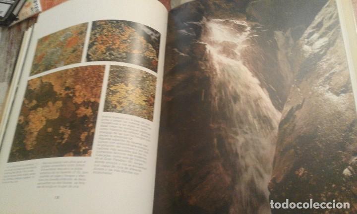 Libros de segunda mano: Para&iacute;sos - Willi & Ursula Dolder - Foto 5