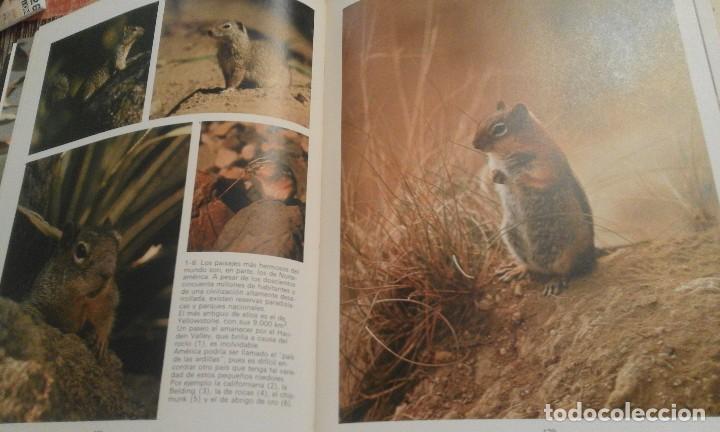 Libros de segunda mano: Para&iacute;sos - Willi & Ursula Dolder - Foto 6