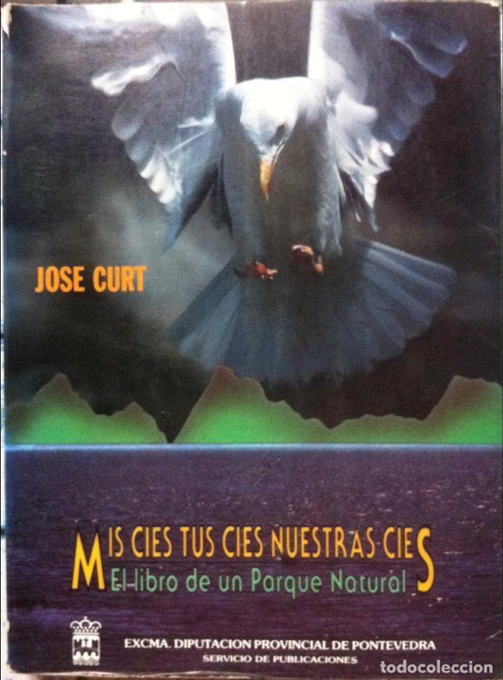Libros de segunda mano: Jos&eacute; Curt. Mis C&iacute;es tus C&iacute;es nuestras C&iacute;es. 1989 - Foto 1