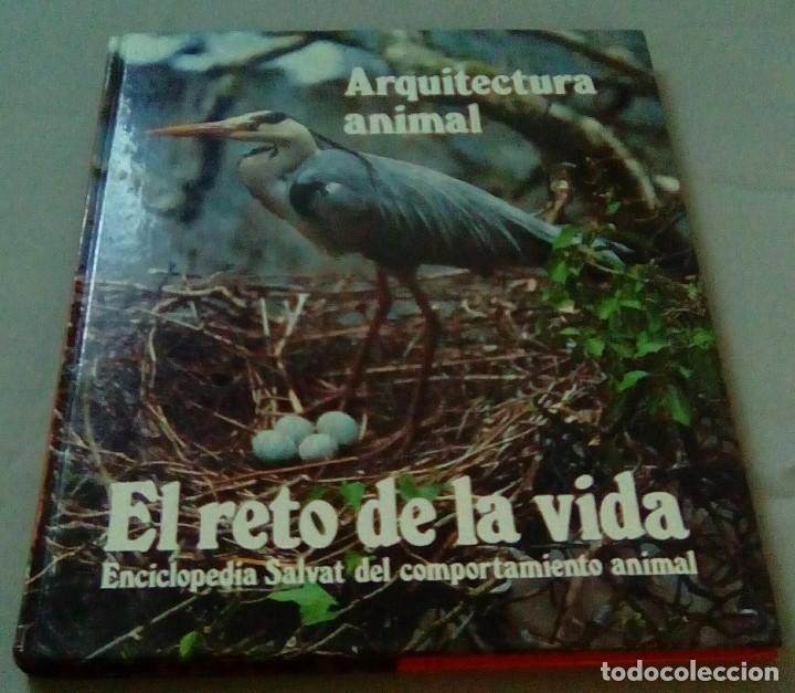 Libros de segunda mano: EL RETO DE LA VIDA ARQUITECTURA ANIMAL - Foto 1