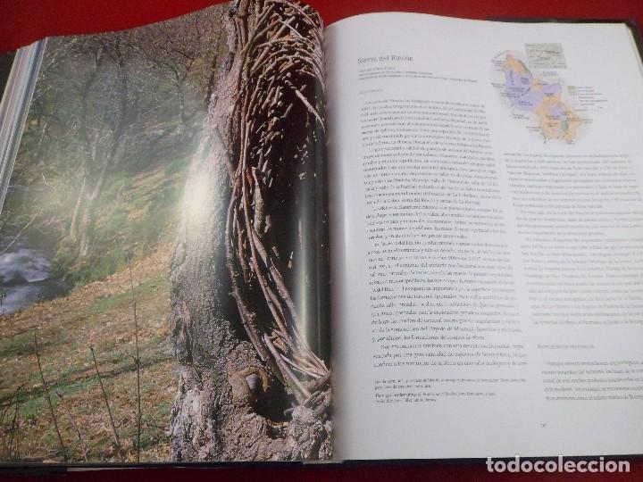 Libros de segunda mano: LA RED DE RESERVAS DE LA BIOSFERA ESPA&Ntilde;OLA. GRAN FORMATO. LUNWERG - Foto 3