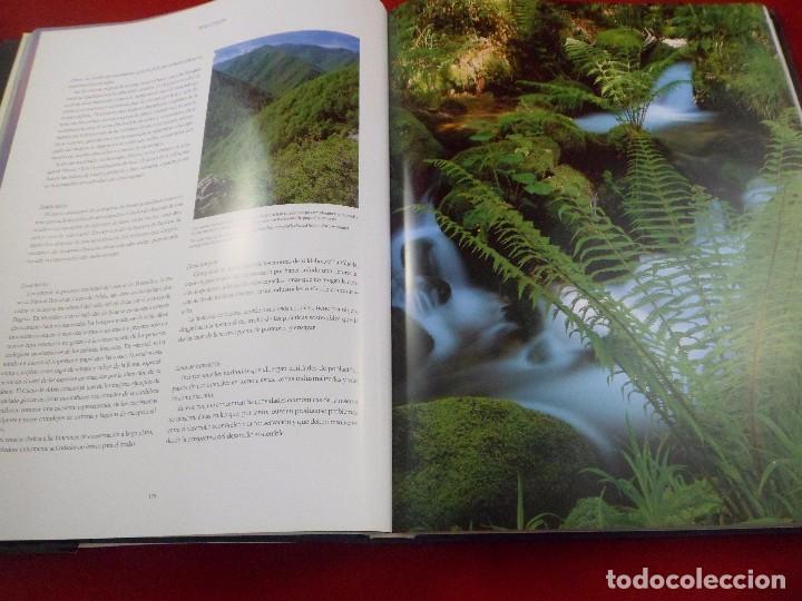 Libros de segunda mano: LA RED DE RESERVAS DE LA BIOSFERA ESPA&Ntilde;OLA. GRAN FORMATO. LUNWERG - Foto 4