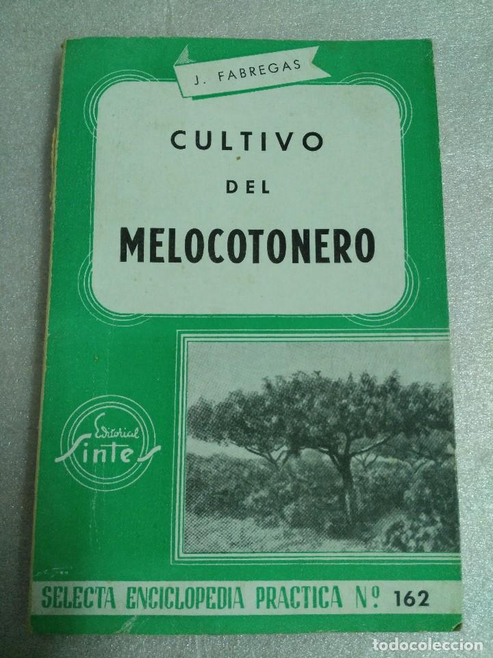 Libros de segunda mano: CULTIVO DEL MELOCOTONERO. FABREGAS, J - Foto 1
