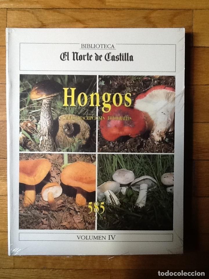 Libros de segunda mano: HONGOS. BIBLIOTECA EL NORTE DE CASTILLA. NUEVO!!!!!!!! - Foto 1