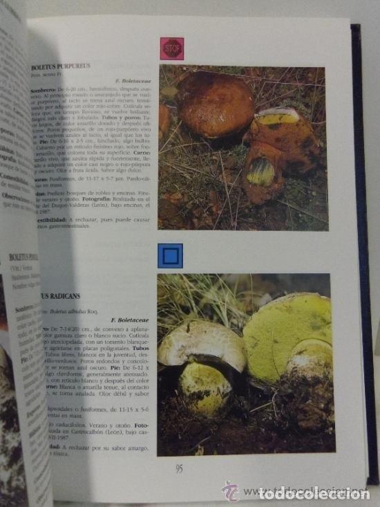 Libros de segunda mano: HONGOS. BIBLIOTECA EL NORTE DE CASTILLA. NUEVO!!!!!!!! - Foto 3