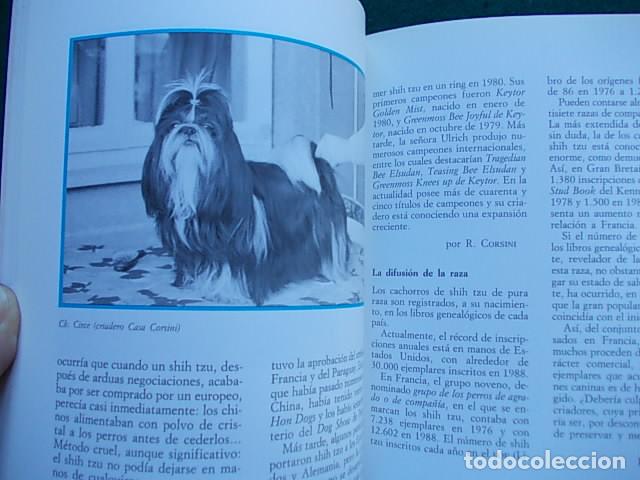 Libros de segunda mano: Amplio libro de los perros Shih Tzu - Foto 2