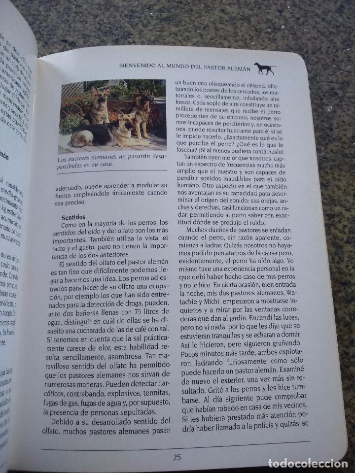 Libros de segunda mano: EL PASTOR ALEMAN -- SUSAETA - - Foto 2