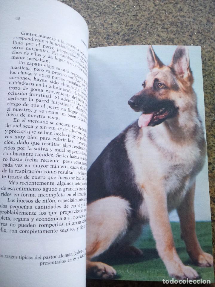 Libros de segunda mano: COMO CRIAR EL PASTOR ALEMAN -- E. C. MANSFIELD SCHALK -- 1993 -- - Foto 2
