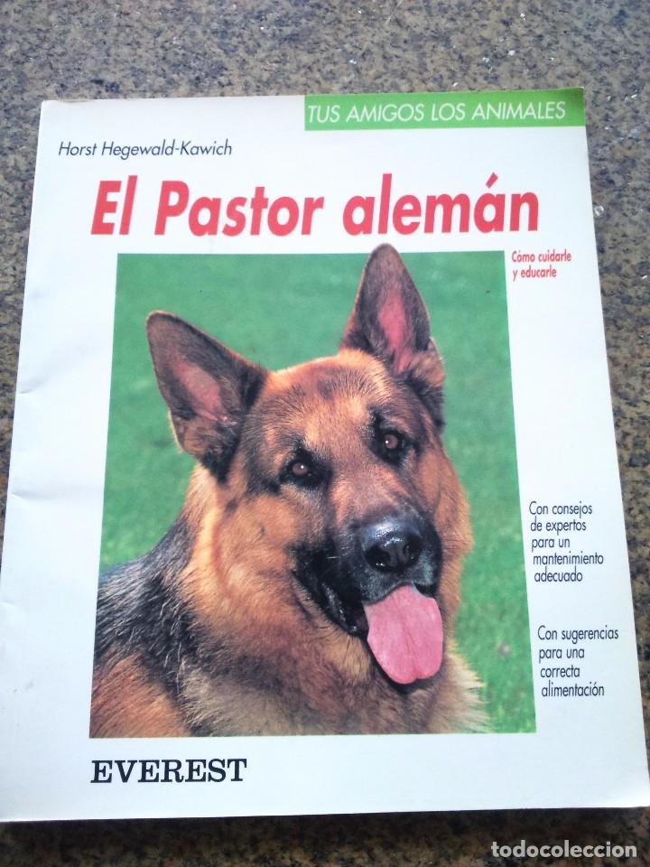 Libros de segunda mano: EL PASTOR ALEMAN - COMO CUIDARTE Y EDUCARTE -- EVEREST -- - Foto 1