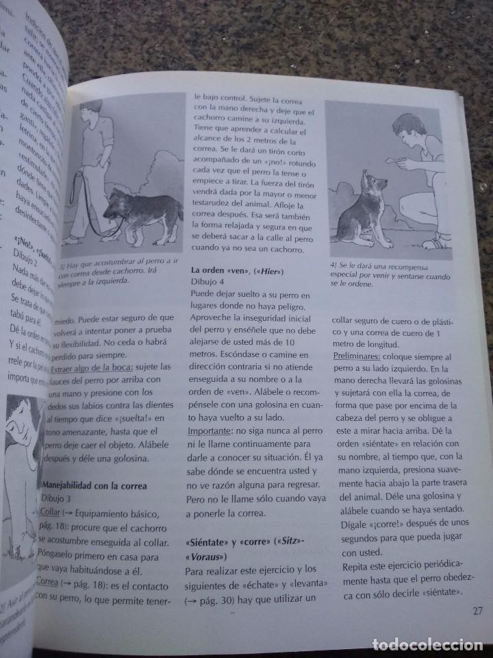 Libros de segunda mano: EL PASTOR ALEMAN - COMO CUIDARTE Y EDUCARTE -- EVEREST -- - Foto 2