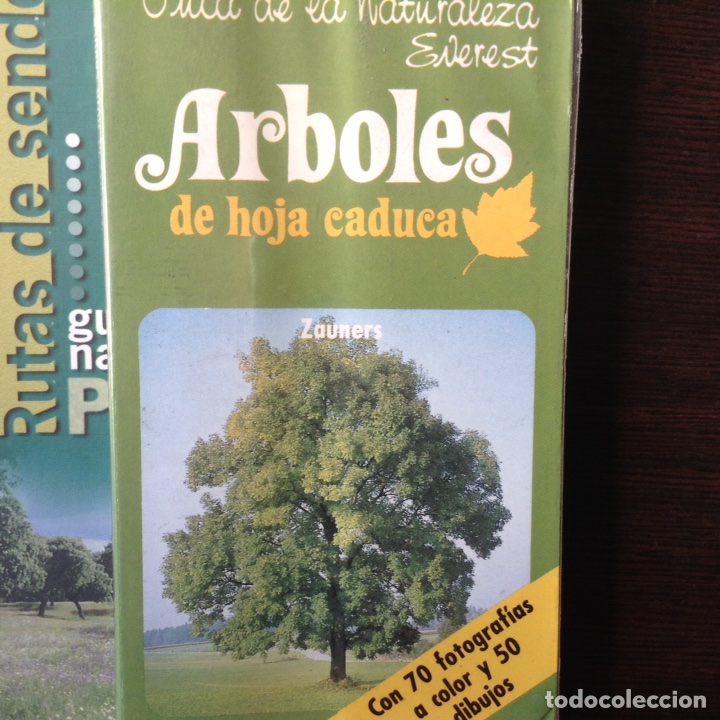 Libros de segunda mano: &Aacute;rboles de hoja caduca. Everest - Foto 1