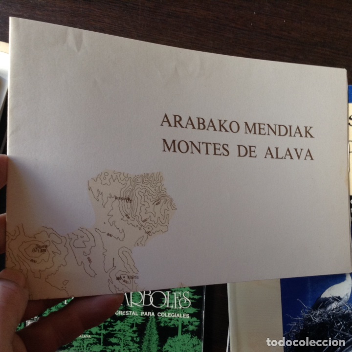 Libros de segunda mano: Nuestros &aacute;rboles. Alava - Foto 2