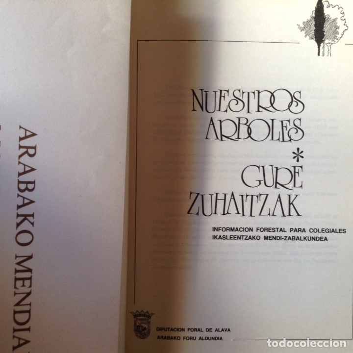 Libros de segunda mano: Nuestros &aacute;rboles. Alava - Foto 3