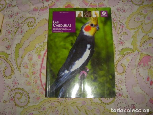 Libros de segunda mano: LAS CAROLINAS , PIERRE FUSY - LACROIX - Foto 1