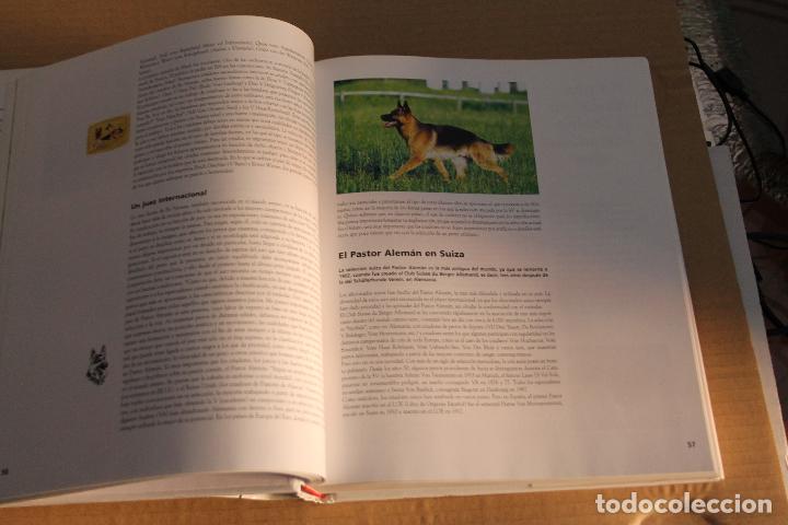 Libros de segunda mano: ENCICLOPEDIA DEL PASTOR ALEM&Aacute;N, ANIWA PUBLISHING - Foto 4
