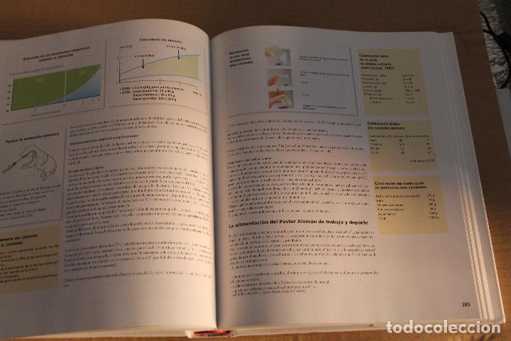 Libros de segunda mano: ENCICLOPEDIA DEL PASTOR ALEM&Aacute;N, ANIWA PUBLISHING - Foto 7