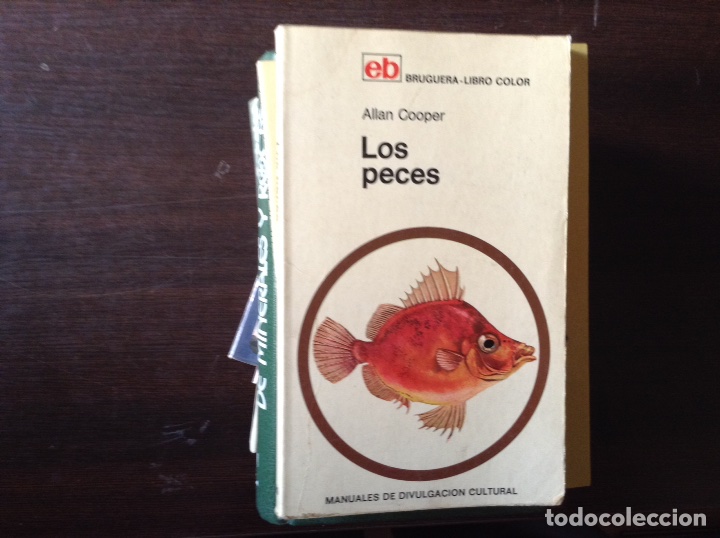 Libros de segunda mano: Los peces - Foto 1