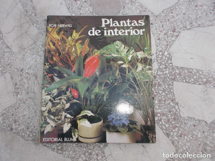 Libros de segunda mano: PLANTAS DE INTERIOR. ROB HERWIG - Foto 1