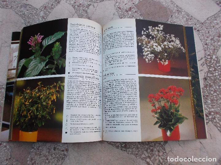 Libros de segunda mano: PLANTAS DE INTERIOR. ROB HERWIG - Foto 2