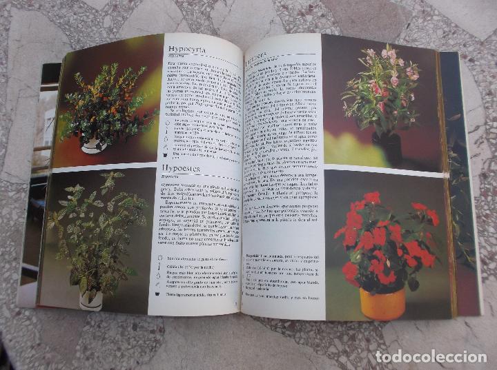 Libros de segunda mano: PLANTAS DE INTERIOR. ROB HERWIG - Foto 3