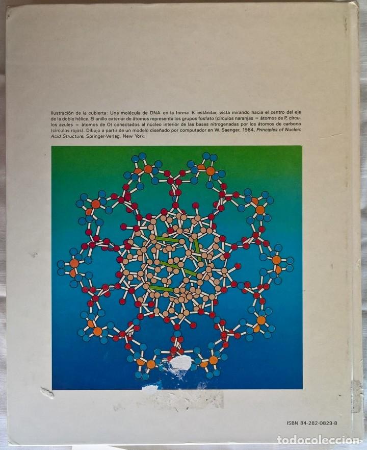Libros de segunda mano: Libro gen&eacute;tica, Monroe W. Strickberger - ediciones Omega, 1985 - Foto 2