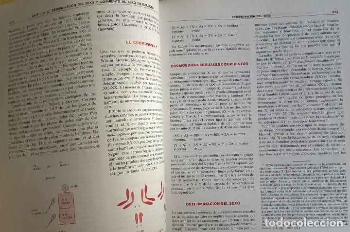 Libros de segunda mano: Libro gen&eacute;tica, Monroe W. Strickberger - ediciones Omega, 1985 - Foto 8