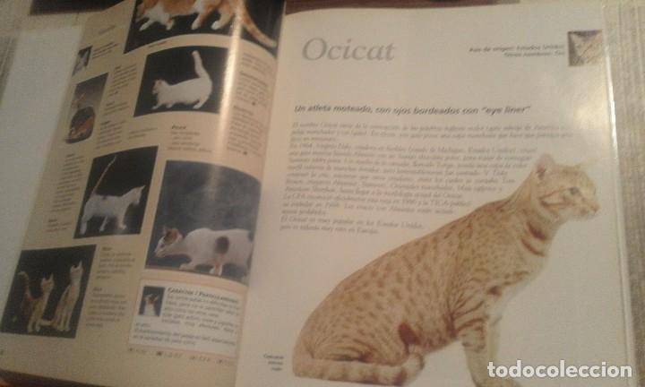 Libros de segunda mano: Enciclopedia del Gato n&ordm; 4 - Royal Canin - Foto 3