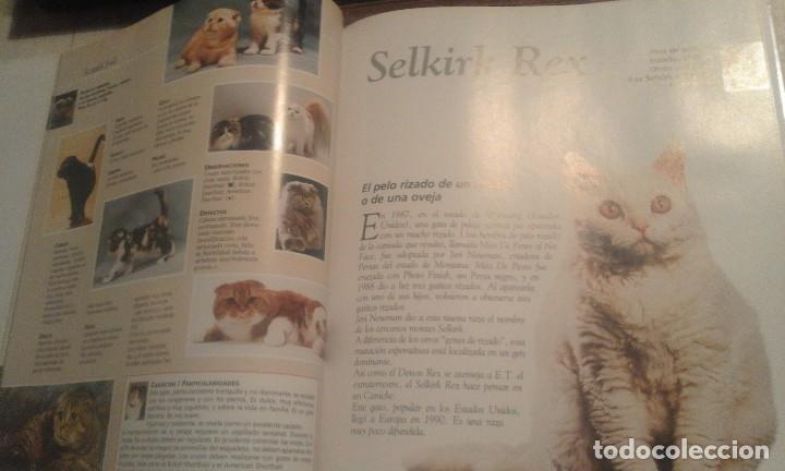 Libros de segunda mano: Enciclopedia del Gato n&ordm; 4 - Royal Canin - Foto 4