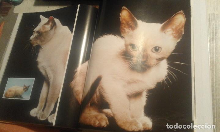 Libros de segunda mano: Enciclopedia del Gato n&ordm; 4 - Royal Canin - Foto 5