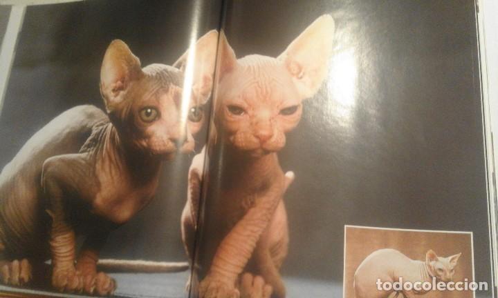 Libros de segunda mano: Enciclopedia del Gato n&ordm; 4 - Royal Canin - Foto 6