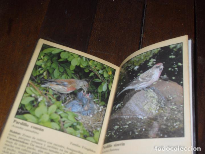 Libros de segunda mano: PAJAROS CANTORES. ESPA&Ntilde;A - Foto 4