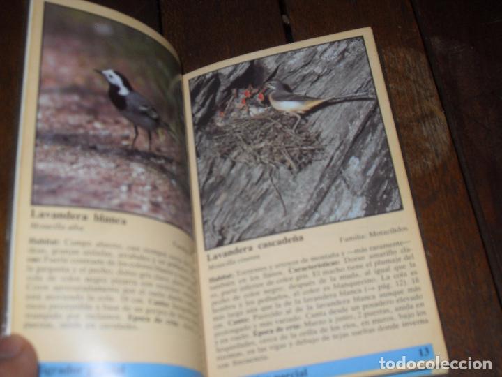 Libros de segunda mano: PAJAROS CANTORES. ESPA&Ntilde;A - Foto 2