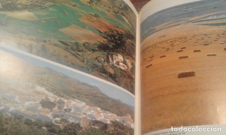 Libros de segunda mano: Planeta Tierra - Caja Rural de Torrent - Foto 6